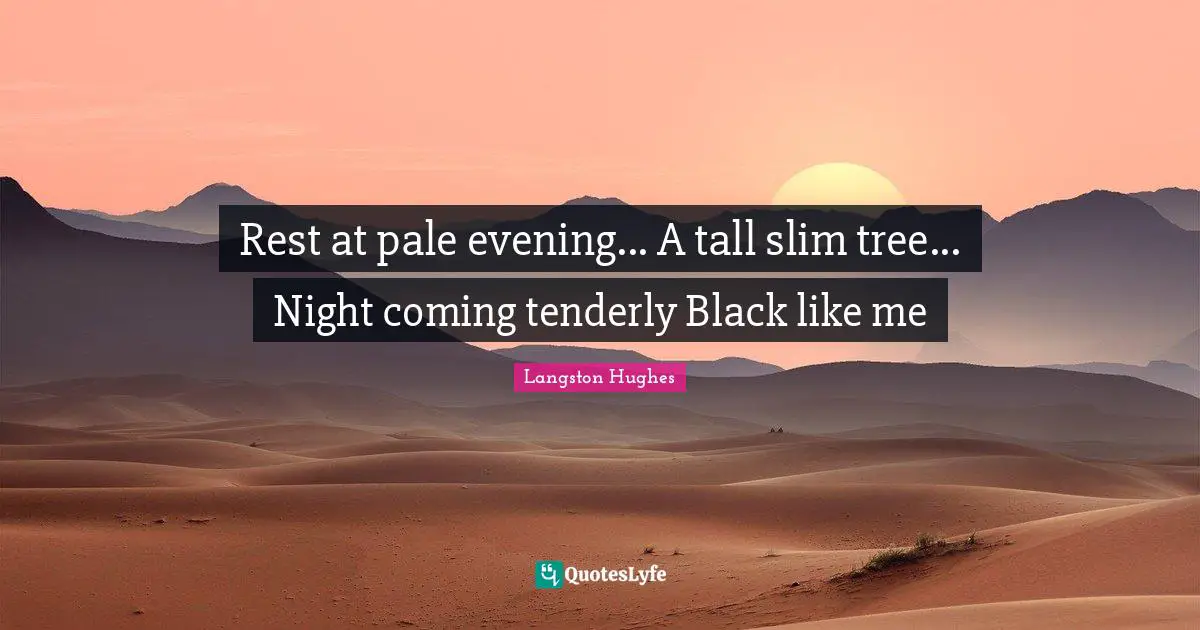 Rest at pale evening... A tall slim tree... Night coming tenderly Black like me