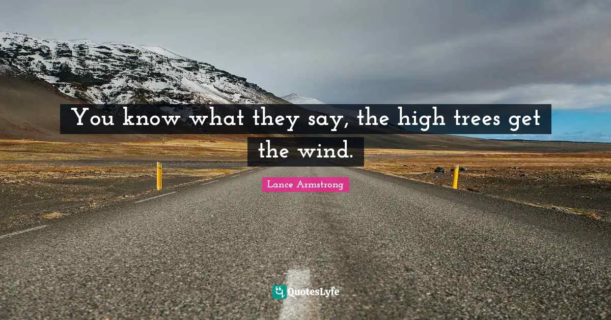 You know what they say, the high trees get the wind.