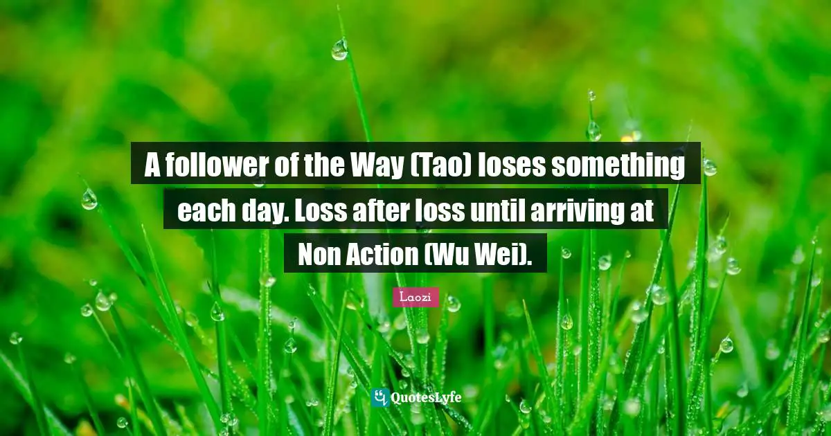 A follower of the Way (Tao) loses something each day. Loss after loss until arriving at Non Action (Wu Wei).