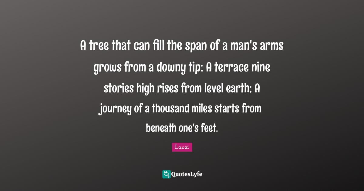 A tree that can fill the span of a man's arms grows from a downy tip; A terrace nine stories high rises from level earth; A journey of a thousand miles starts from beneath one's feet.