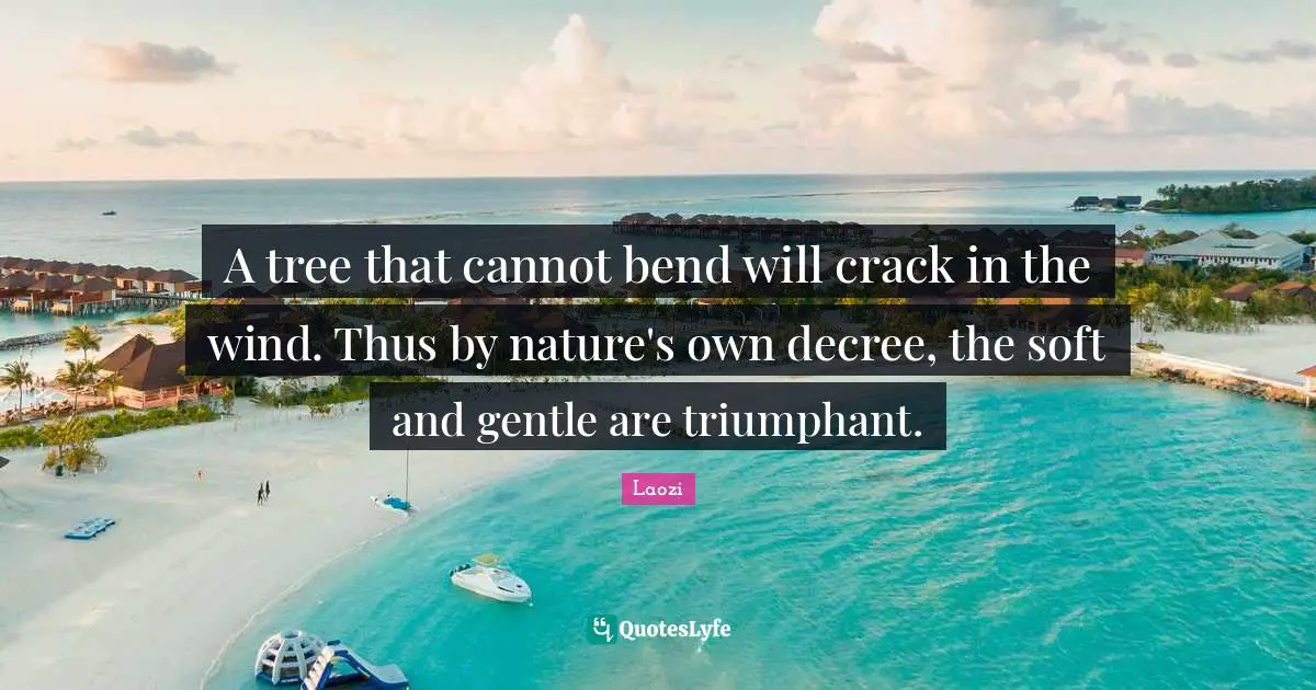 A tree that cannot bend will crack in the wind. Thus by nature's own decree, the soft and gentle are triumphant.