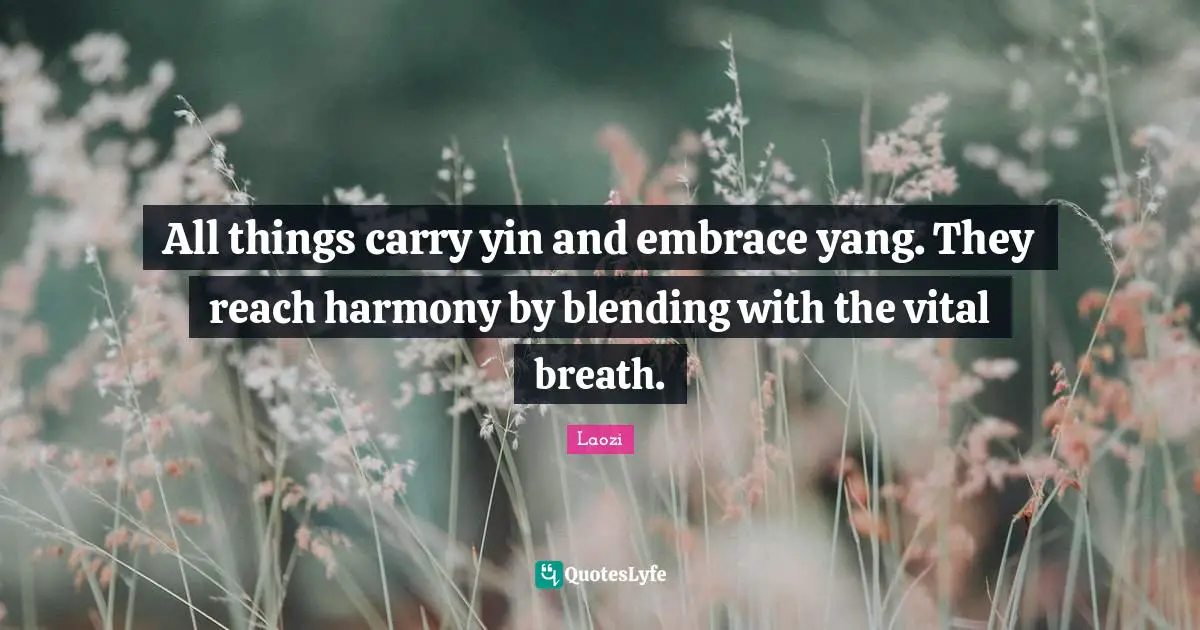 All things carry yin and embrace yang. They reach harmony by blending with the vital breath.