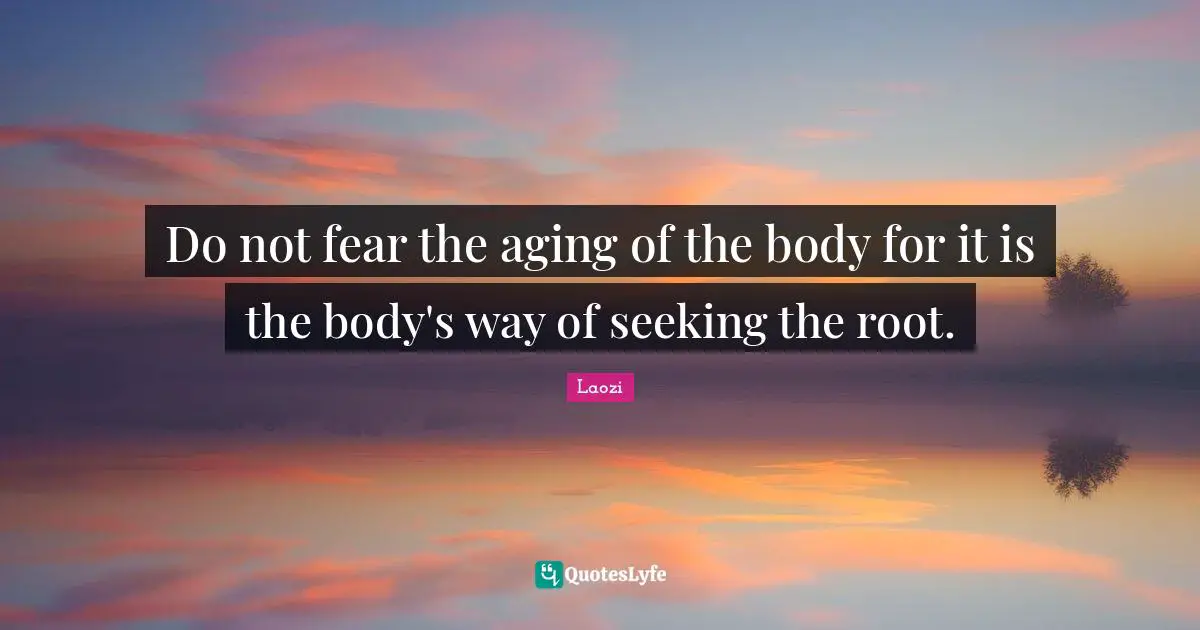 Do not fear the aging of the body for it is the body's way of seeking the root.