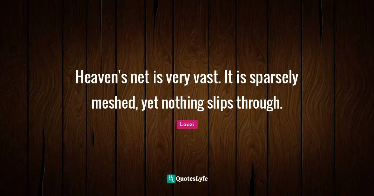 Heaven's net is very vast. It is sparsely meshed, yet nothing slips through.