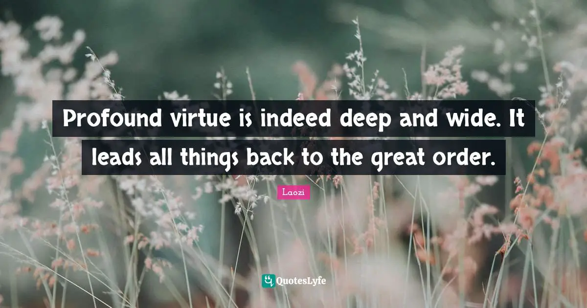Profound virtue is indeed deep and wide. It leads all things back to the great order.