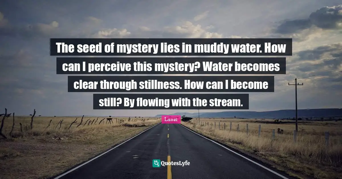 Muddy Quotes: "The seed of mystery lies in muddy water. How can I perceive this mystery? Water becomes clear through stillness. How can I become still? By flowing with the stream."
