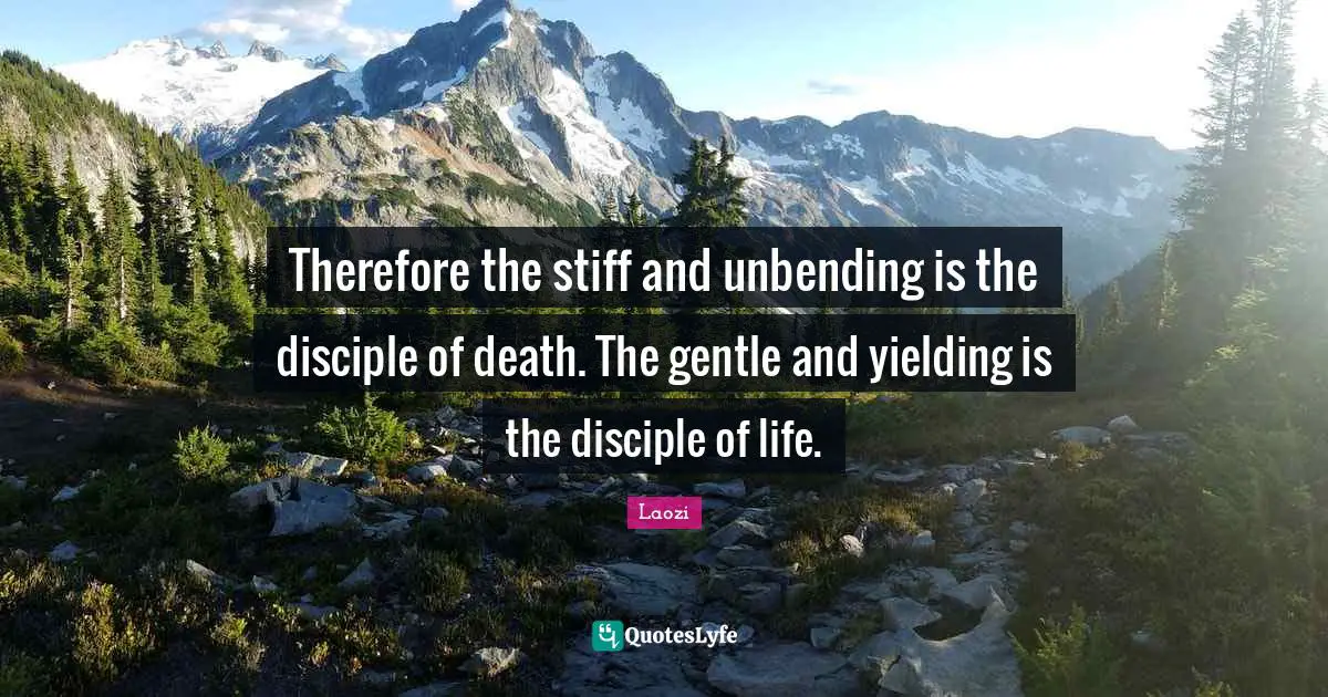 Therefore the stiff and unbending is the disciple of death. The gentle and yielding is the disciple of life.