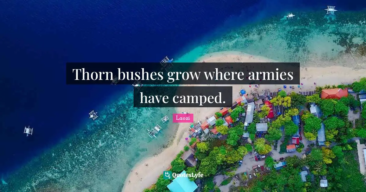 Thorn bushes grow where armies have camped.