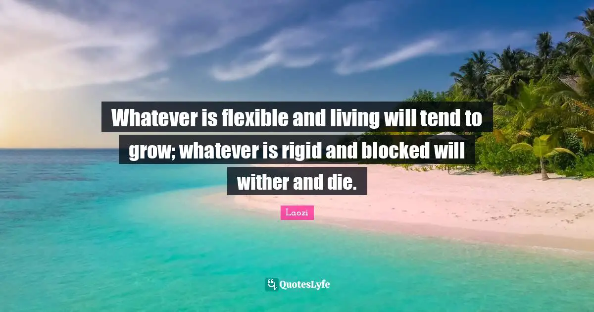 Whatever is flexible and living will tend to grow; whatever is rigid and blocked will wither and die.
