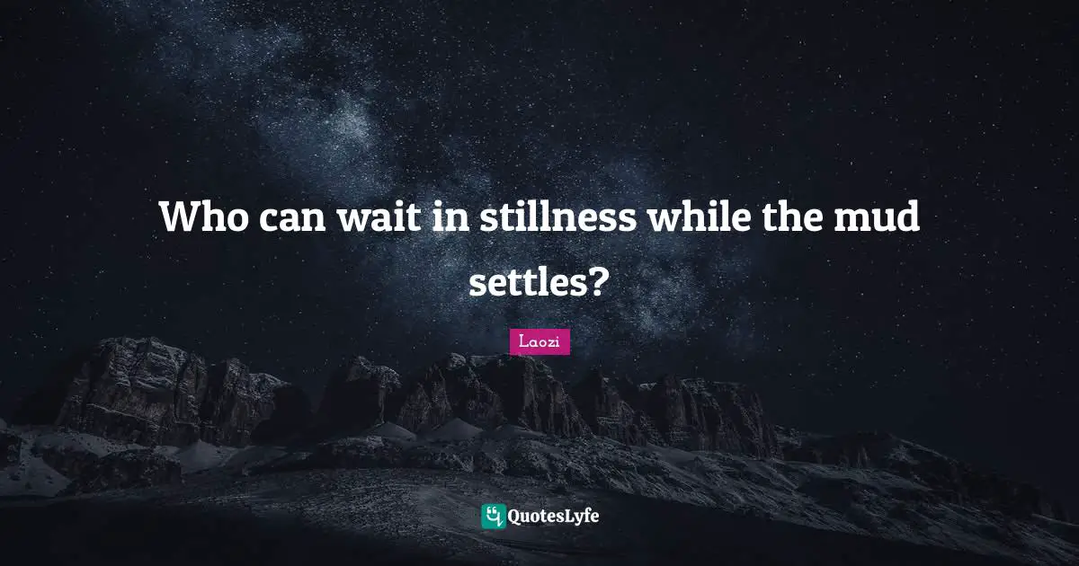 Who can wait in stillness while the mud settles?