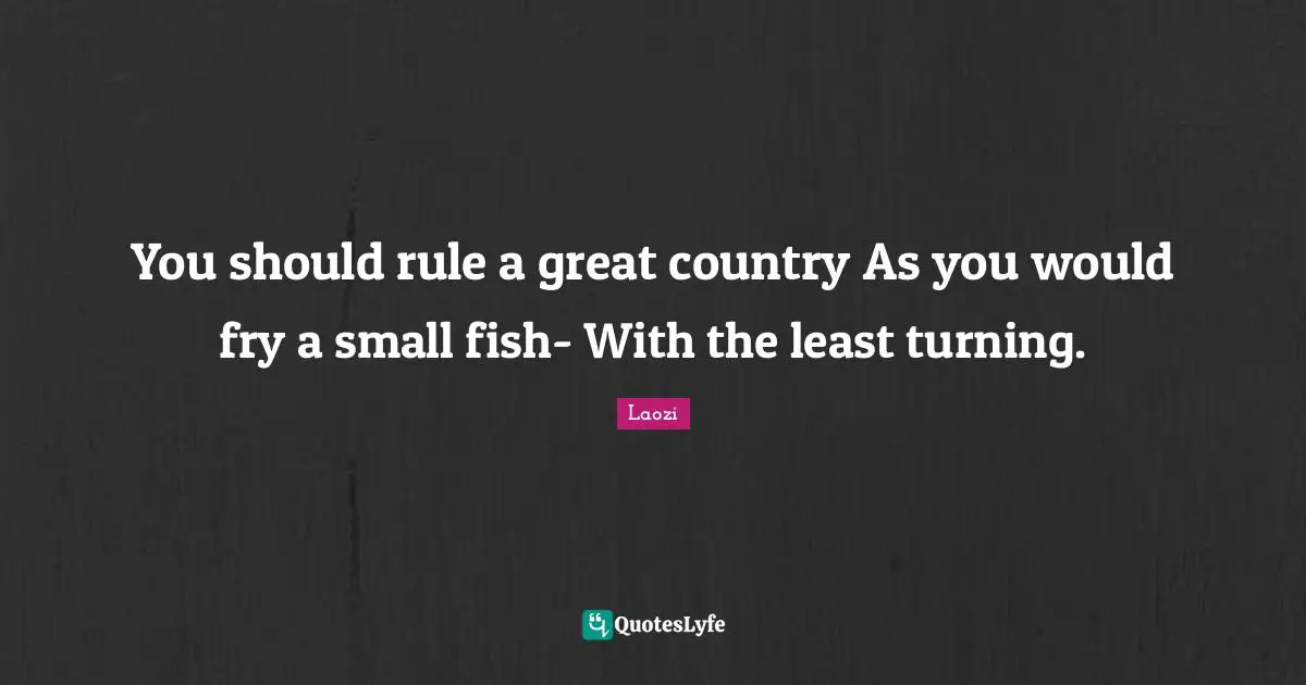 You should rule a great country As you would fry a small fish- With the least turning.
