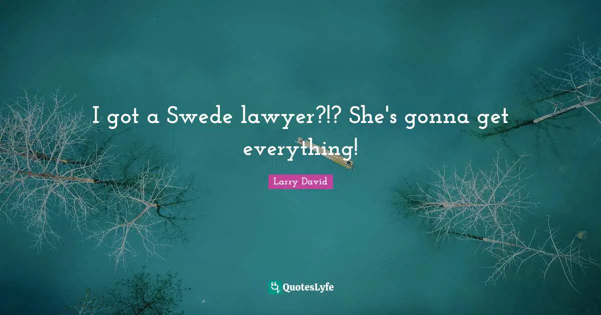 I got a Swede lawyer?!? She's gonna get everything!