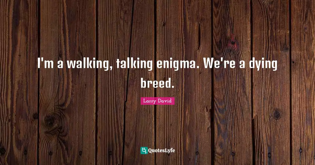 I'm a walking, talking enigma. We're a dying breed.