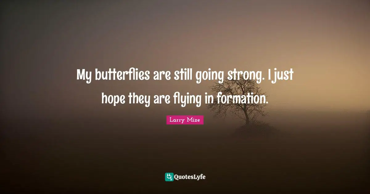 My butterflies are still going strong. I just hope they are flying in formation.