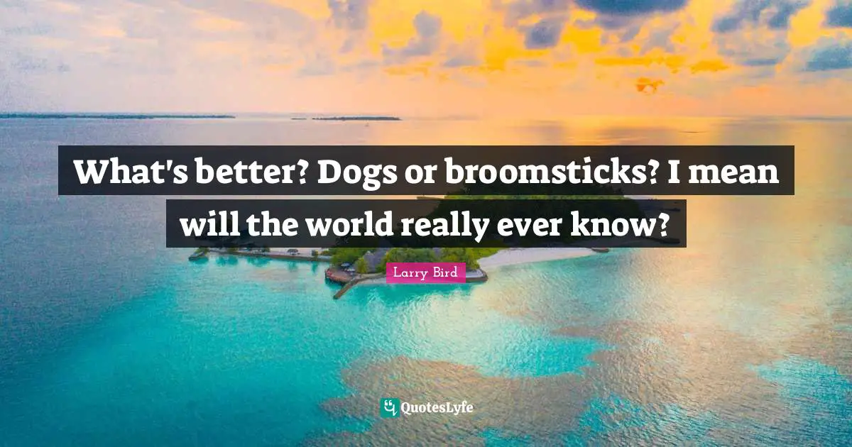 What's better? Dogs or broomsticks? I mean will the world really ever know?
