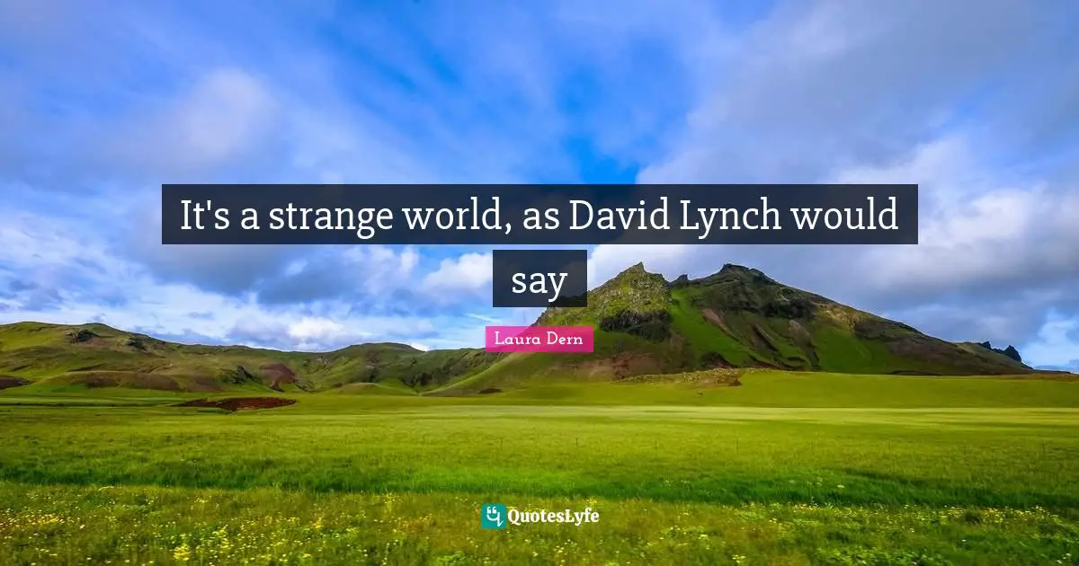 It's a strange world, as David Lynch would say