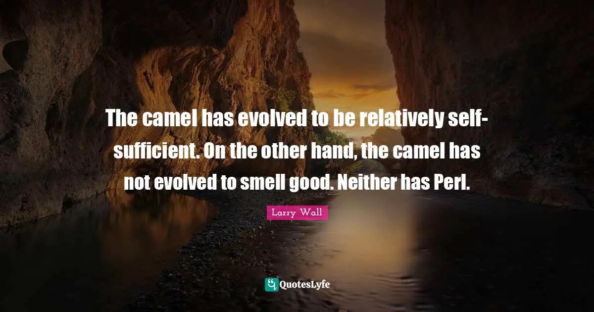 Perl Quotes: "The camel has evolved to be relatively self-sufficient. On the other hand, the camel has not evolved to smell good. Neither has Perl."