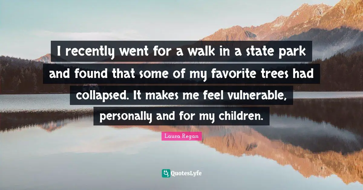 I recently went for a walk in a state park and found that some of my favorite trees had collapsed. It makes me feel vulnerable, personally and for my children.