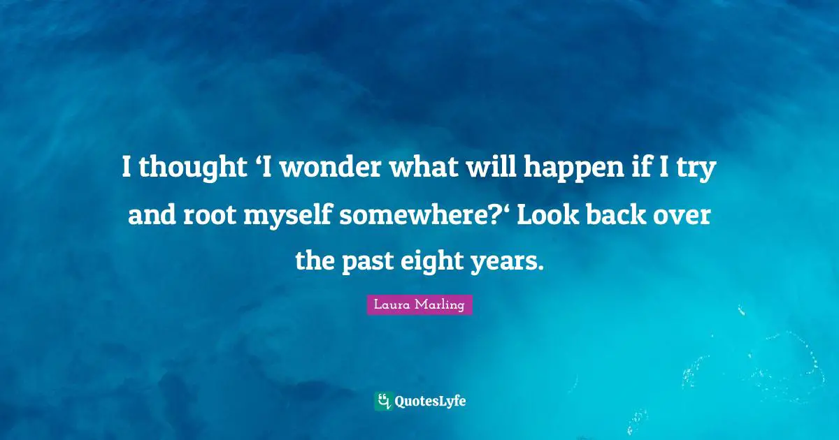 I thought ‘I wonder what will happen if I try and root myself somewhere?‘ Look back over the past eight years.