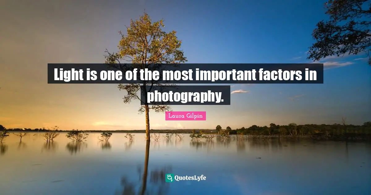Light is one of the most important factors in photography.