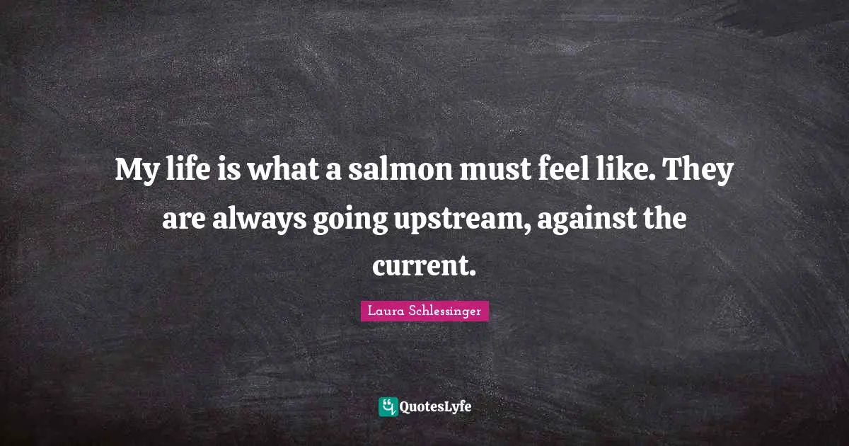 My life is what a salmon must feel like. They are always going upstream, against the current.