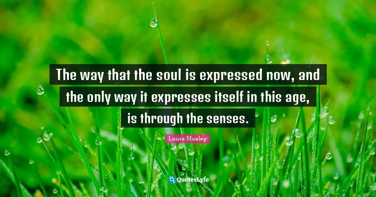 The way that the soul is expressed now, and the only way it expresses itself in this age, is through the senses.