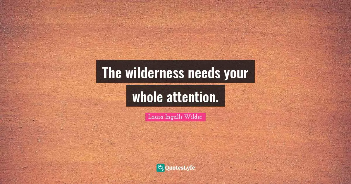 The wilderness needs your whole attention.