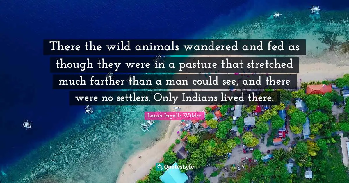 There the wild animals wandered and fed as though they were in a pasture that stretched much farther than a man could see, and there were no settlers. Only Indians lived there.