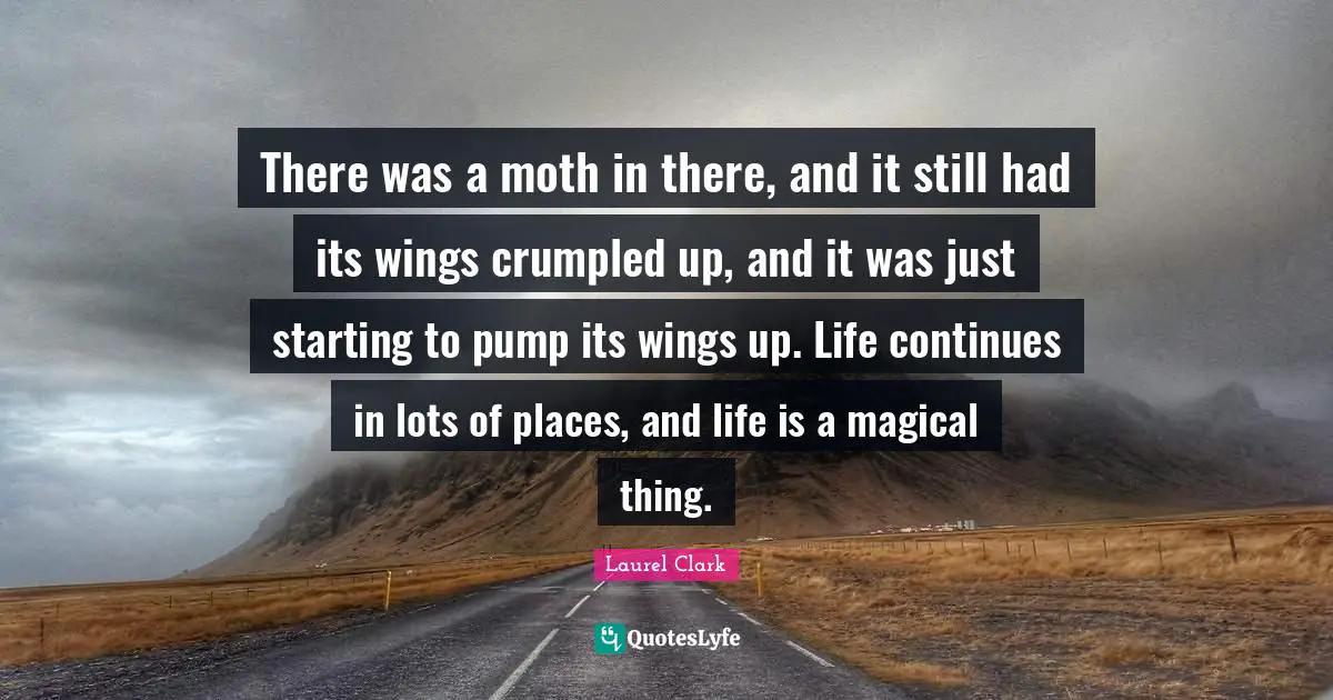 There was a moth in there, and it still had its wings crumpled up, and it was just starting to pump its wings up. Life continues in lots of places, and life is a magical thing.