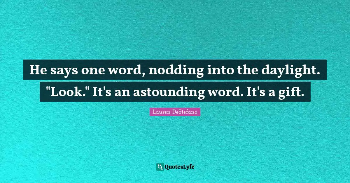 He says one word, nodding into the daylight. "Look." It's an astounding word. It's a gift.