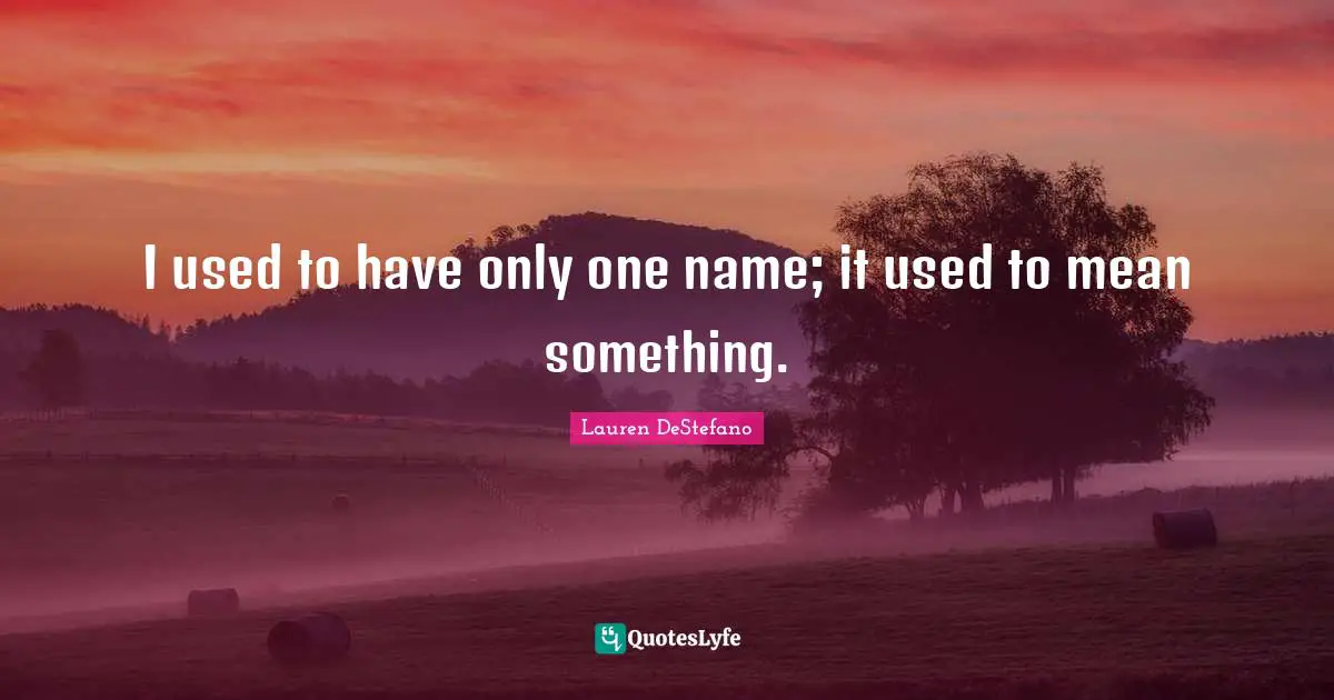 I used to have only one name; it used to mean something.