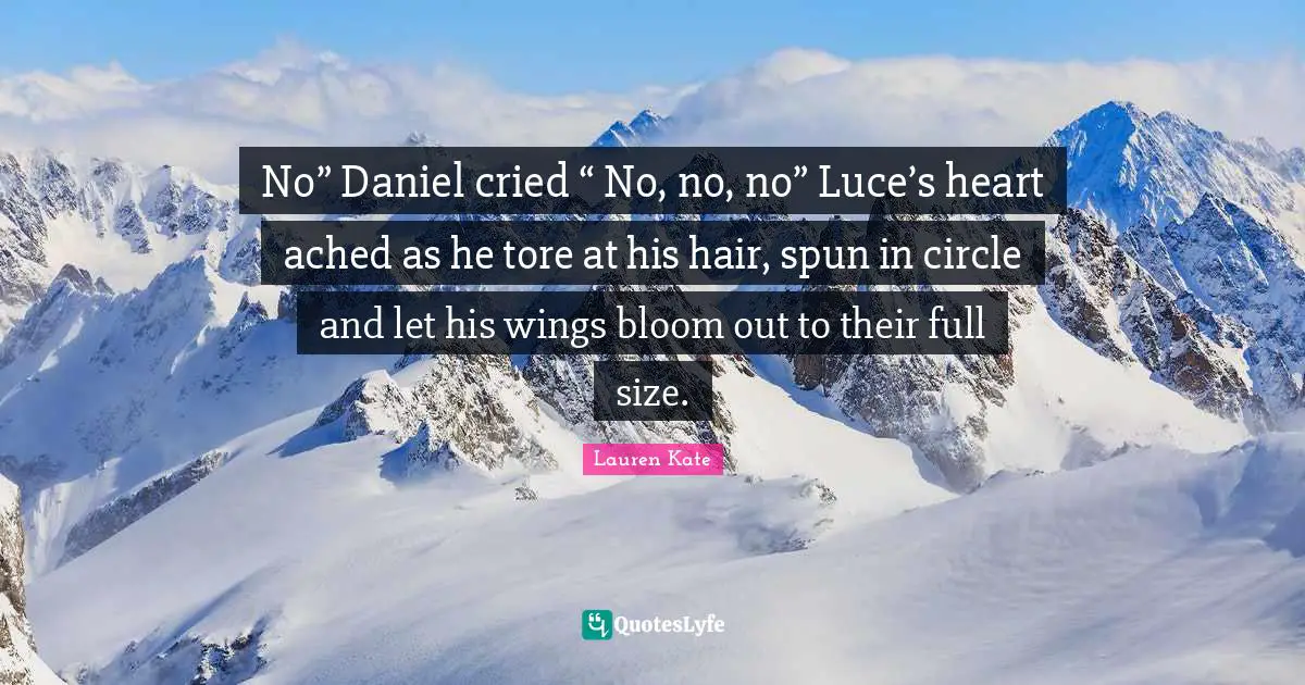 Lauren Kate Quotes: "No” Daniel cried “ No, no, no” Luce’s heart ached as he tore at his hair, spun in circle and let his wings bloom out to their full size."