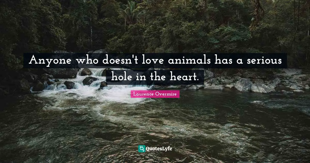 Anyone who doesn't love animals has a serious hole in the heart.