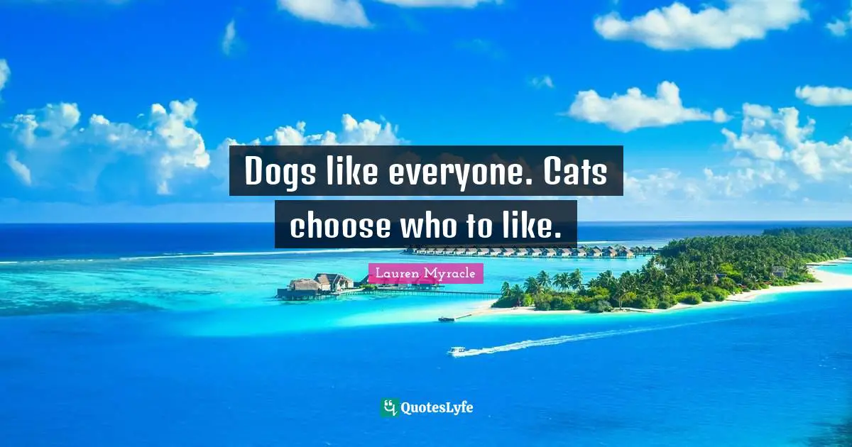 Dogs like everyone. Cats choose who to like.