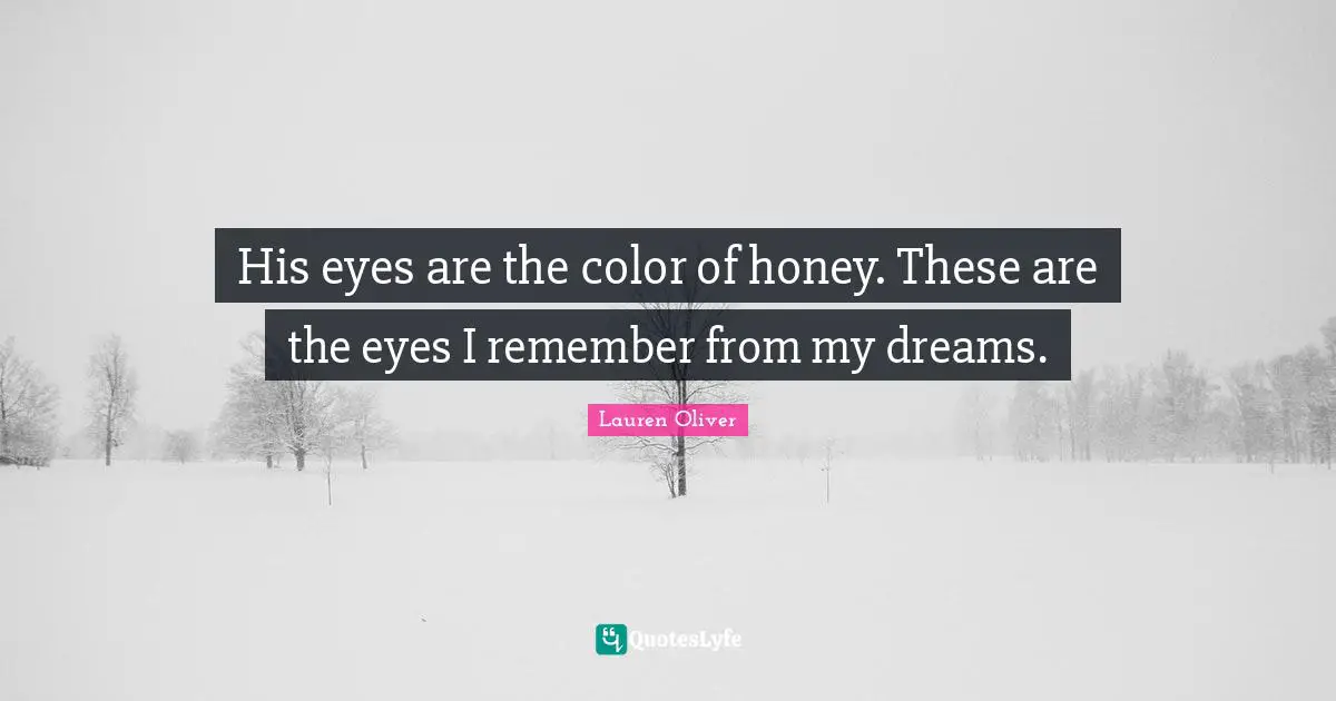 His eyes are the color of honey. These are the eyes I remember from my dreams.