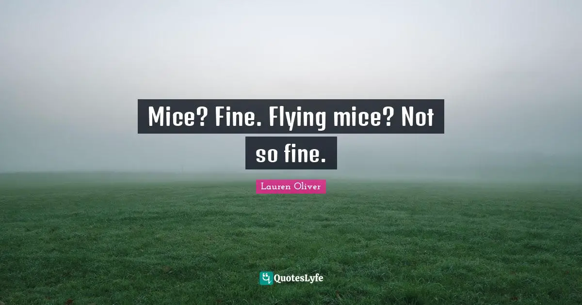 Mice? Fine. Flying mice? Not so fine.