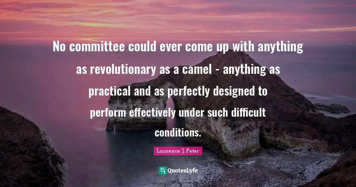 Camels Quotes: "No committee could ever come up with anything as revolutionary as a camel - anything as practical and as perfectly designed to perform effectively under such difficult conditions."