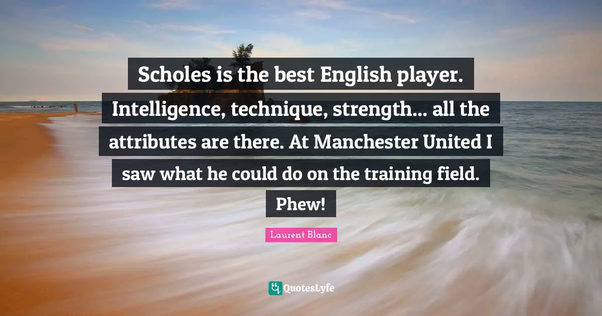 Scholes is the best English player. Intelligence, technique, strength... all the attributes are there. At Manchester United I saw what he could do on the training field. Phew!