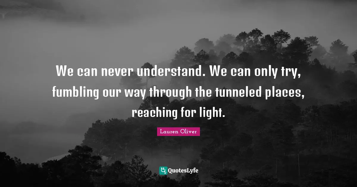 We can never understand. We can only try, fumbling our way through the tunneled places, reaching for light.