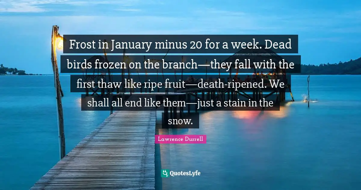 January Quotes: "Frost in January minus 20 for a week. Dead birds frozen on the branch—they fall with the first thaw like ripe fruit—death-ripened. We shall all end like them—just a stain in the snow."