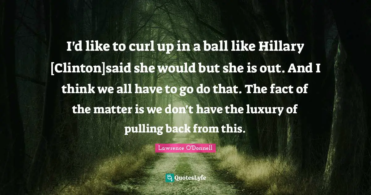 I'd like to curl up in a ball like Hillary [Clinton]said she would but she is out. And I think we all have to go do that. The fact of the matter is we don't have the luxury of pulling back from this.