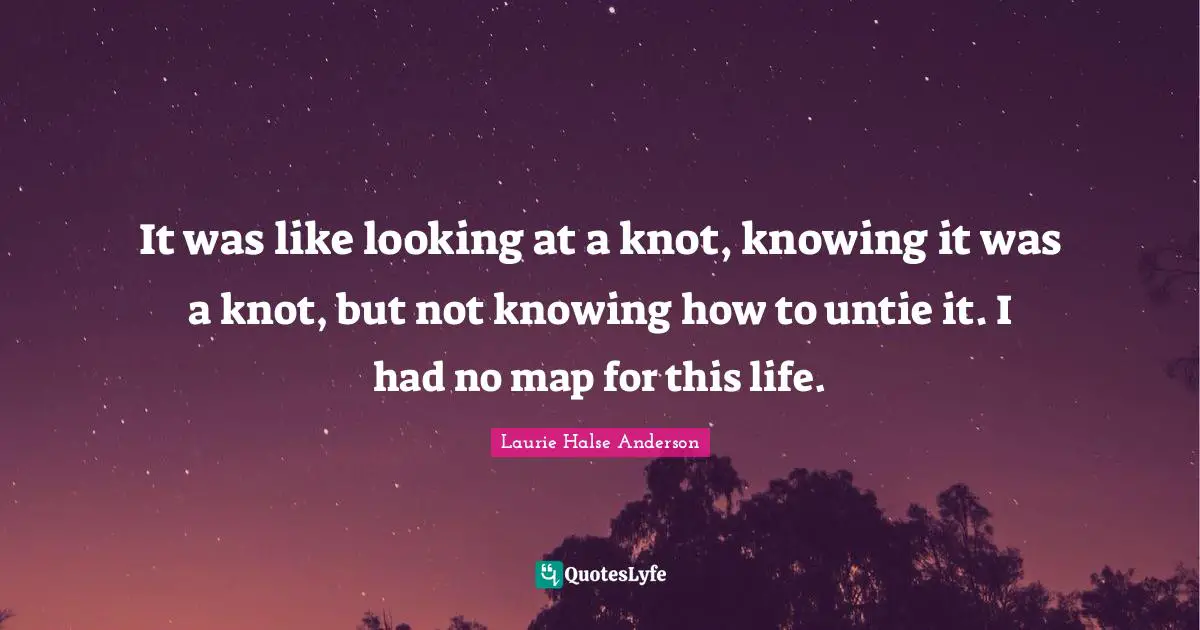 It was like looking at a knot, knowing it was a knot, but not knowing how to untie it. I had no map for this life.