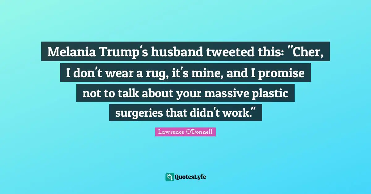 Melania Trump's husband tweeted this: "Cher, I don't wear a rug, it's mine, and I promise not to talk about your massive plastic surgeries that didn't work."