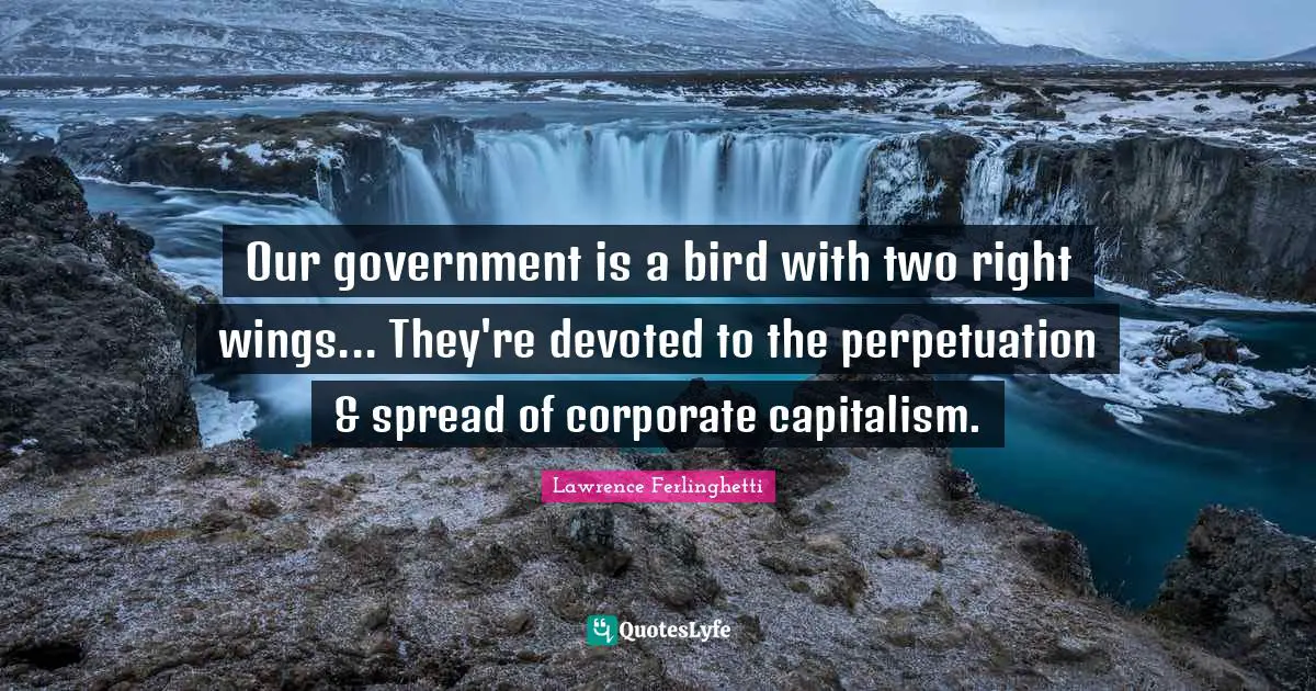 Our government is a bird with two right wings... They're devoted to the perpetuation & spread of corporate capitalism.