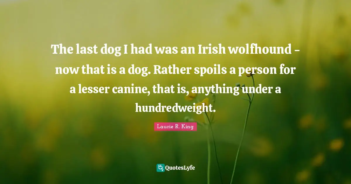 The last dog I had was an Irish wolfhound - now that is a dog. Rather spoils a person for a lesser canine, that is, anything under a hundredweight.