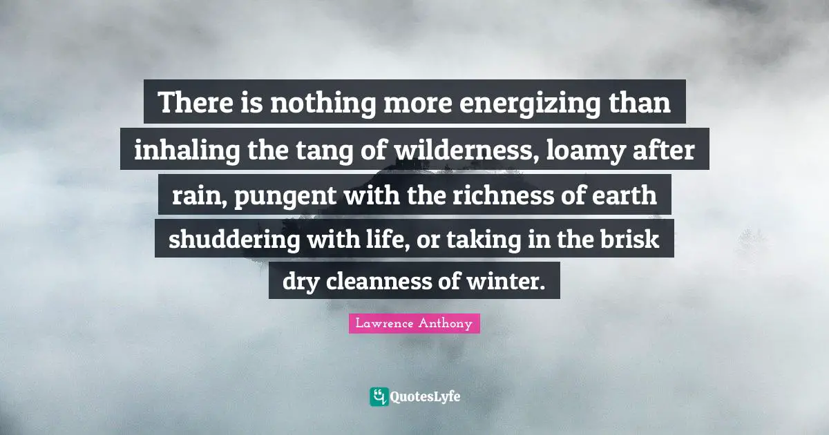 There is nothing more energizing than inhaling the tang of wilderness, loamy after rain, pungent with the richness of earth shuddering with life, or taking in the brisk dry cleanness of winter.