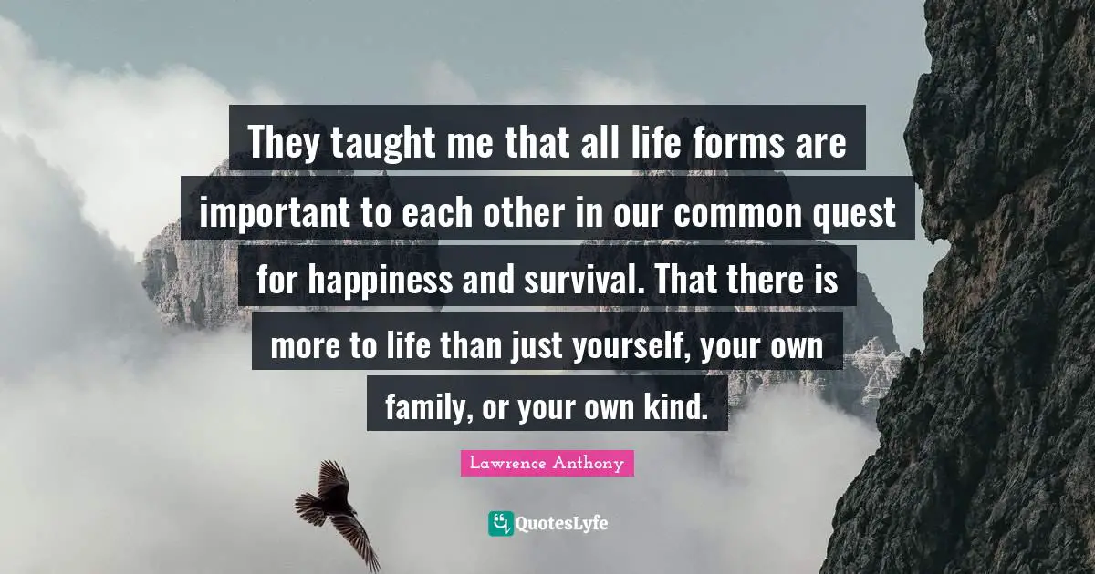 They taught me that all life forms are important to each other in our common quest for happiness and survival. That there is more to life than just yourself, your own family, or your own kind.