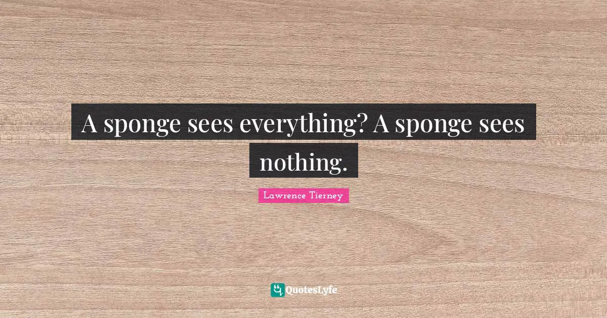A sponge sees everything? A sponge sees nothing.