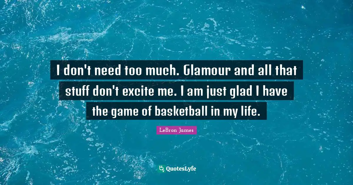 I don't need too much. Glamour and all that stuff don't excite me. I am just glad I have the game of basketball in my life.