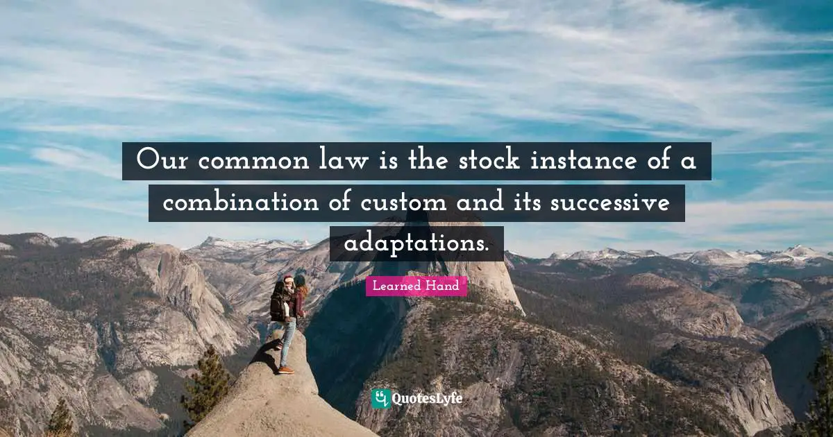 Our common law is the stock instance of a combination of custom and its successive adaptations.